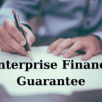 What is Enterprise Finance Guarantee (EFG)