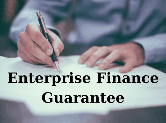 what is enterprise finance guarantee