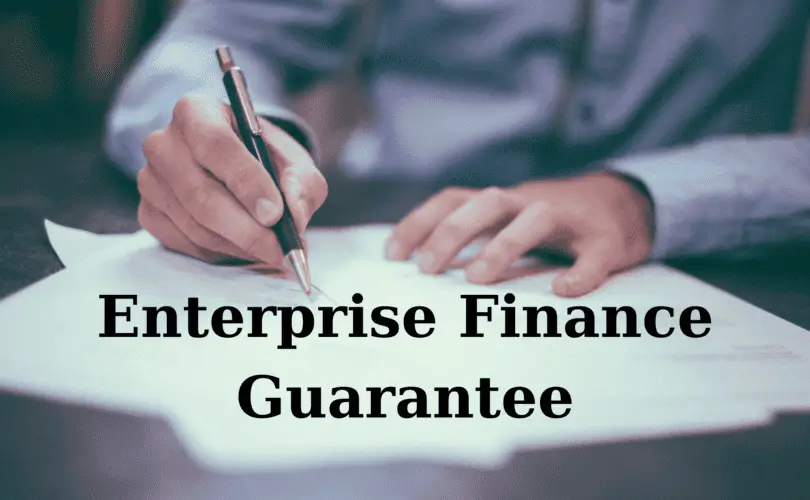 what is enterprise finance guarantee